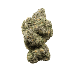 Cannamedical Indica Classic NM 22/1 Kerosene Krash